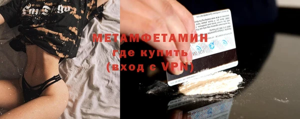 прущие грибы Санкт-Петербург