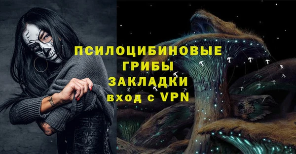 эйфоретик Козельск