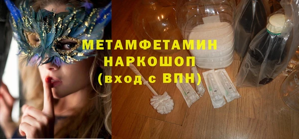 прущие грибы Санкт-Петербург