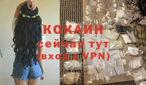 прущие грибы Санкт-Петербург