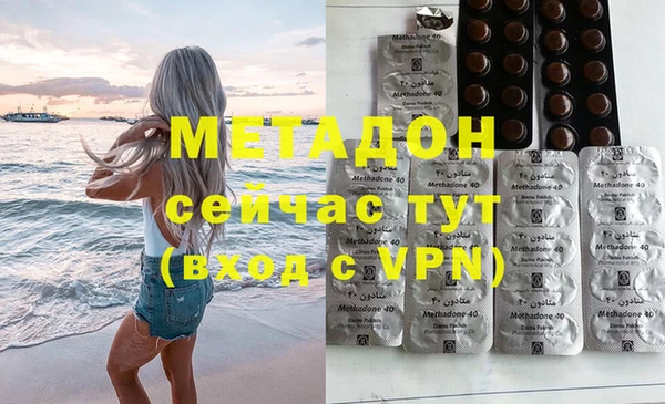 прущие грибы Санкт-Петербург