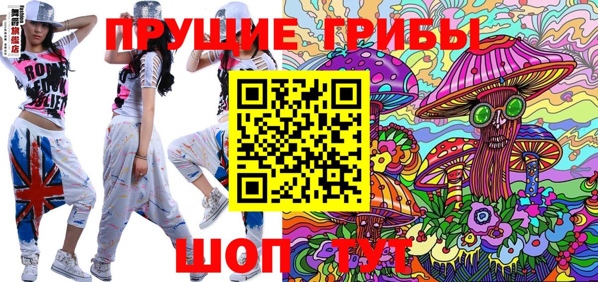 Псилоцибиновые грибы GOLDEN TEACHER  купить наркотики цена  Альметьевск 