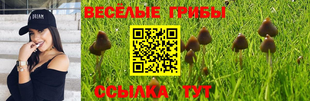 Псилоцибиновые грибы GOLDEN TEACHER Альметьевск