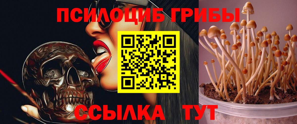 ГАШ Альметьевск