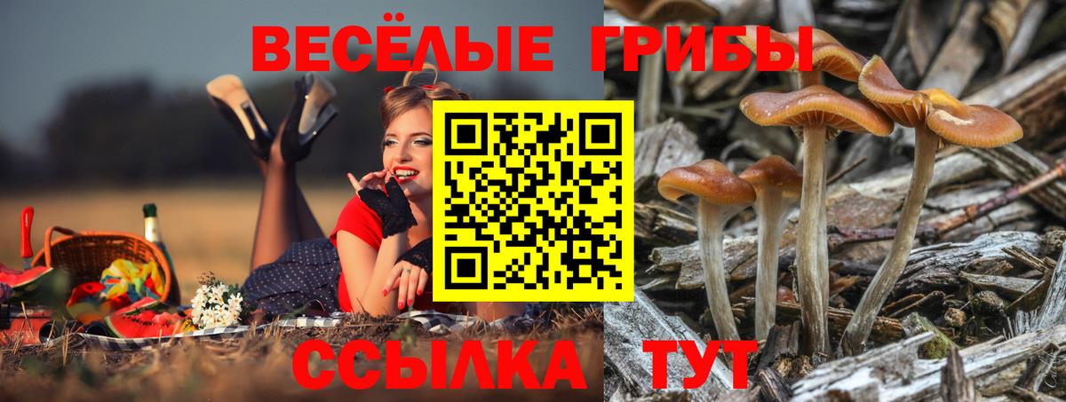 Псилоцибиновые грибы Magic Shrooms Альметьевск